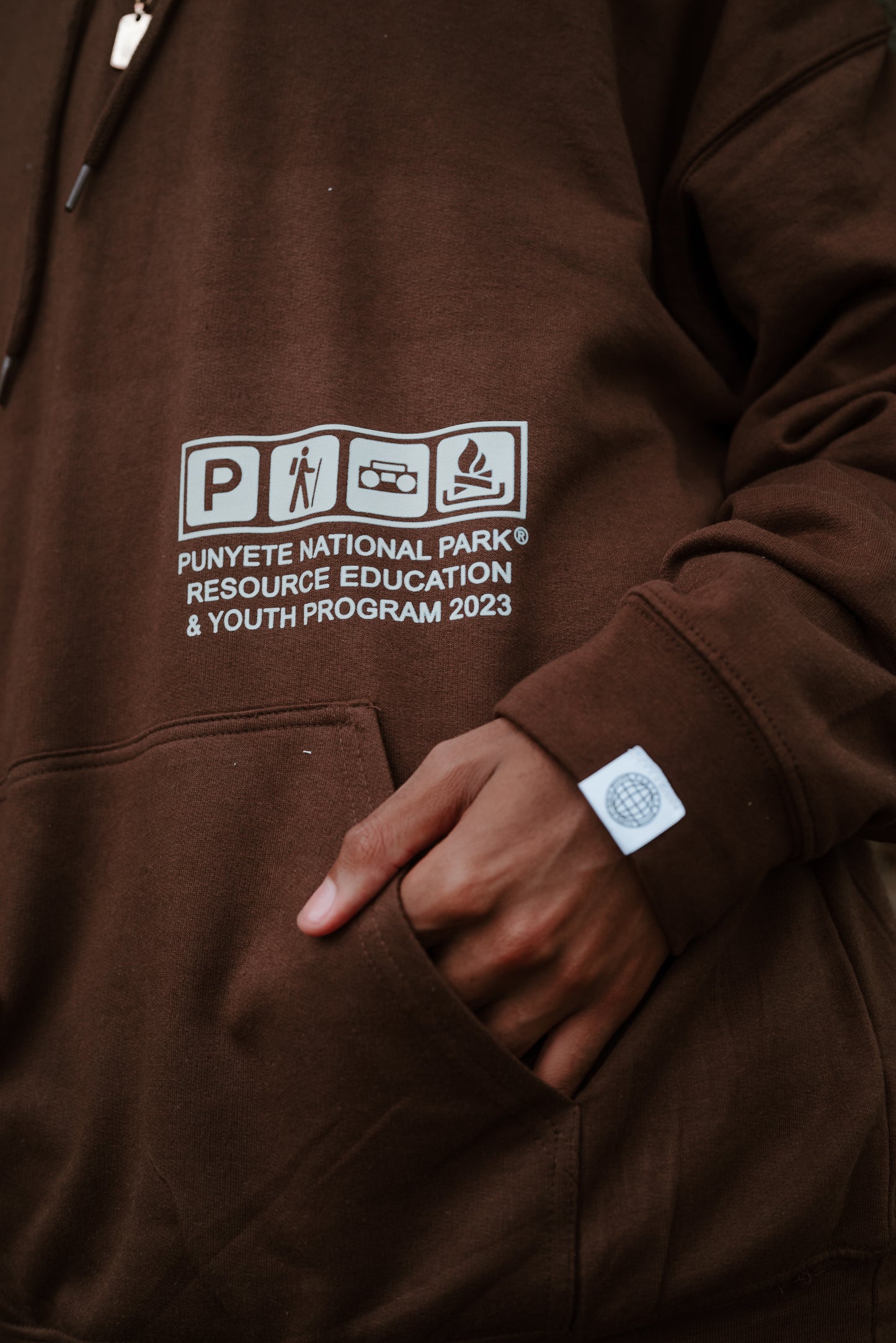 National Park Brown Hoodie