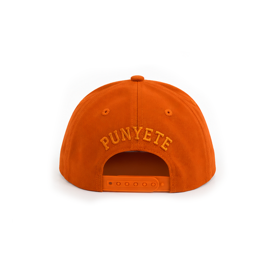CLEAR VISION SNAPBACK