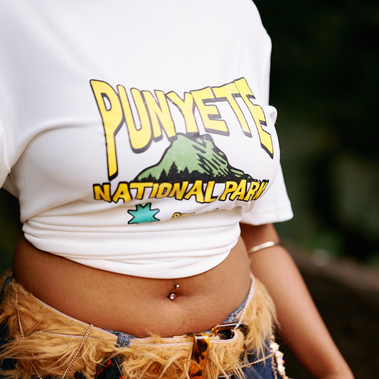 National Park Boxy T-Shirt