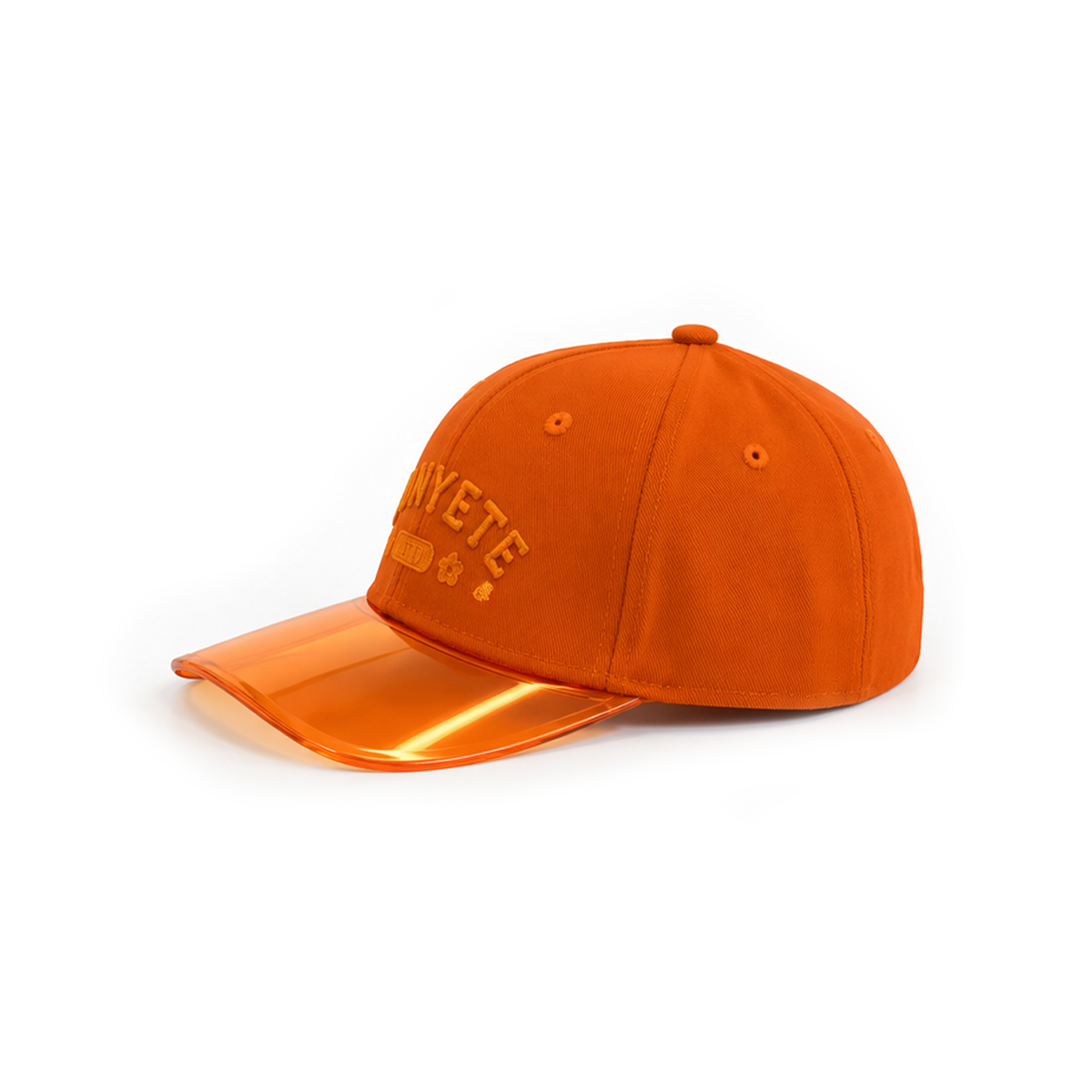 CLEAR VISION SNAPBACK