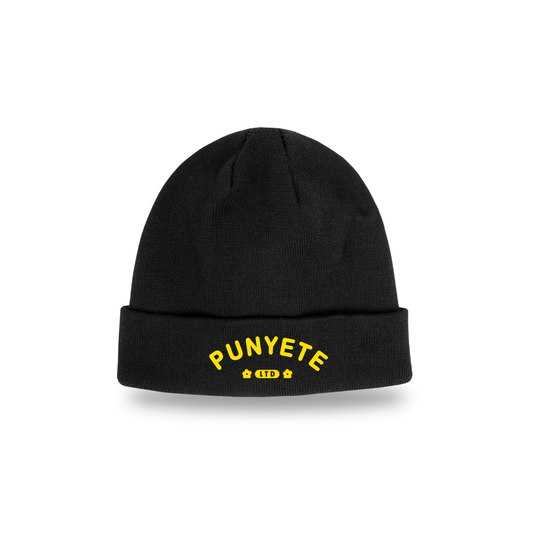 LTD BEANIE - FC 25 EDITION
