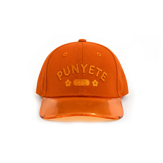 CLEAR VISION SNAPBACK